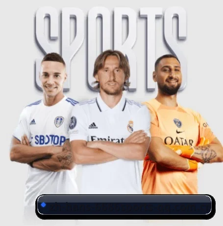 6686体育围绕看球场景设计的核心服务 | 6686 SPORTS